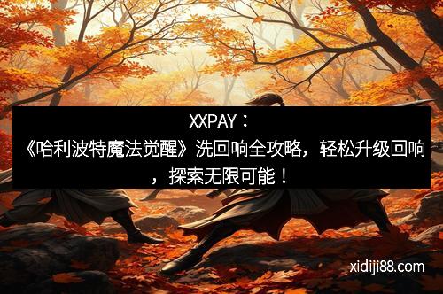 XXPAY：《哈利波特魔法觉醒》洗回响全攻略，轻松升级回响，探索无限可能！